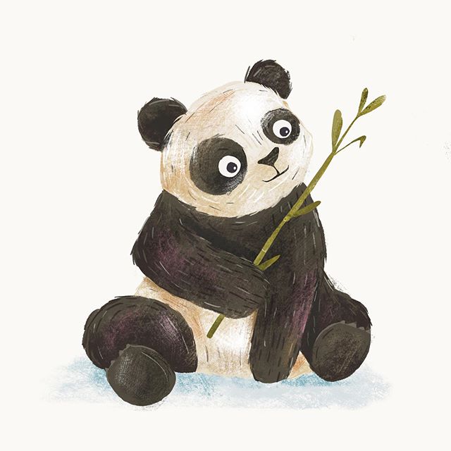 Baby panda&rsquo;s are born pink and measure about 15cm, that&rsquo;s the size of a pencil ✏️
Congratz with the twins @pairidaizaofficial
.
.
.
#panda #babypanda #bamboo #animal #wildlife #animalproject #illustration #procrate #animalillustration #pa