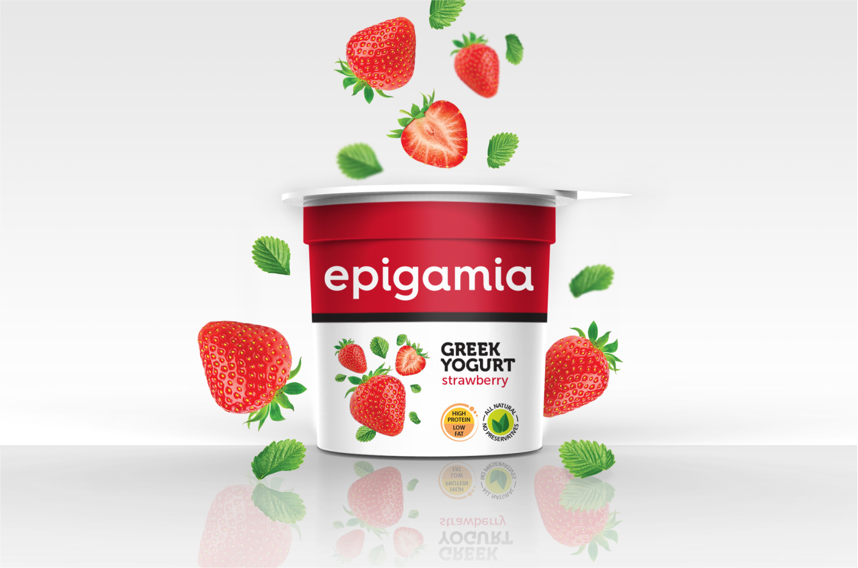Epigamia_Packaging_Elephant Design 1.jpg