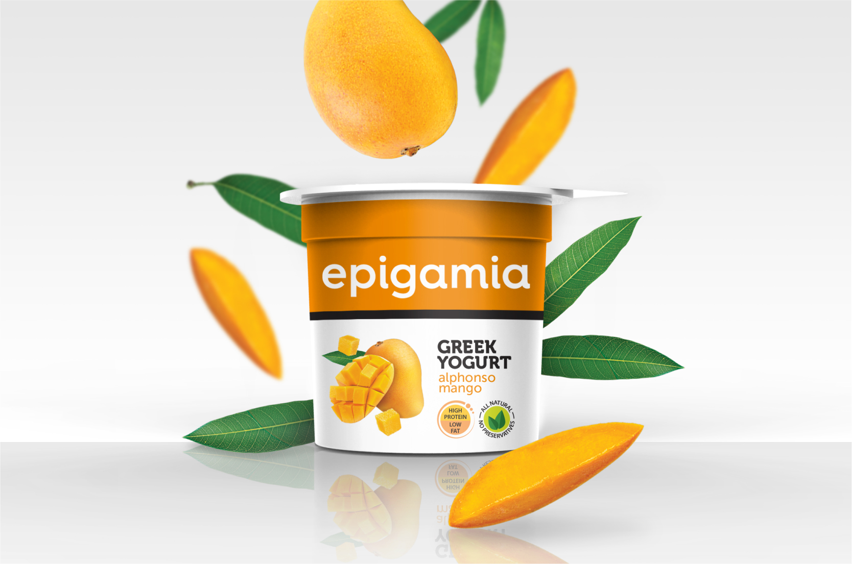 Epigamia_Packaging_Elephant Design 2.jpg