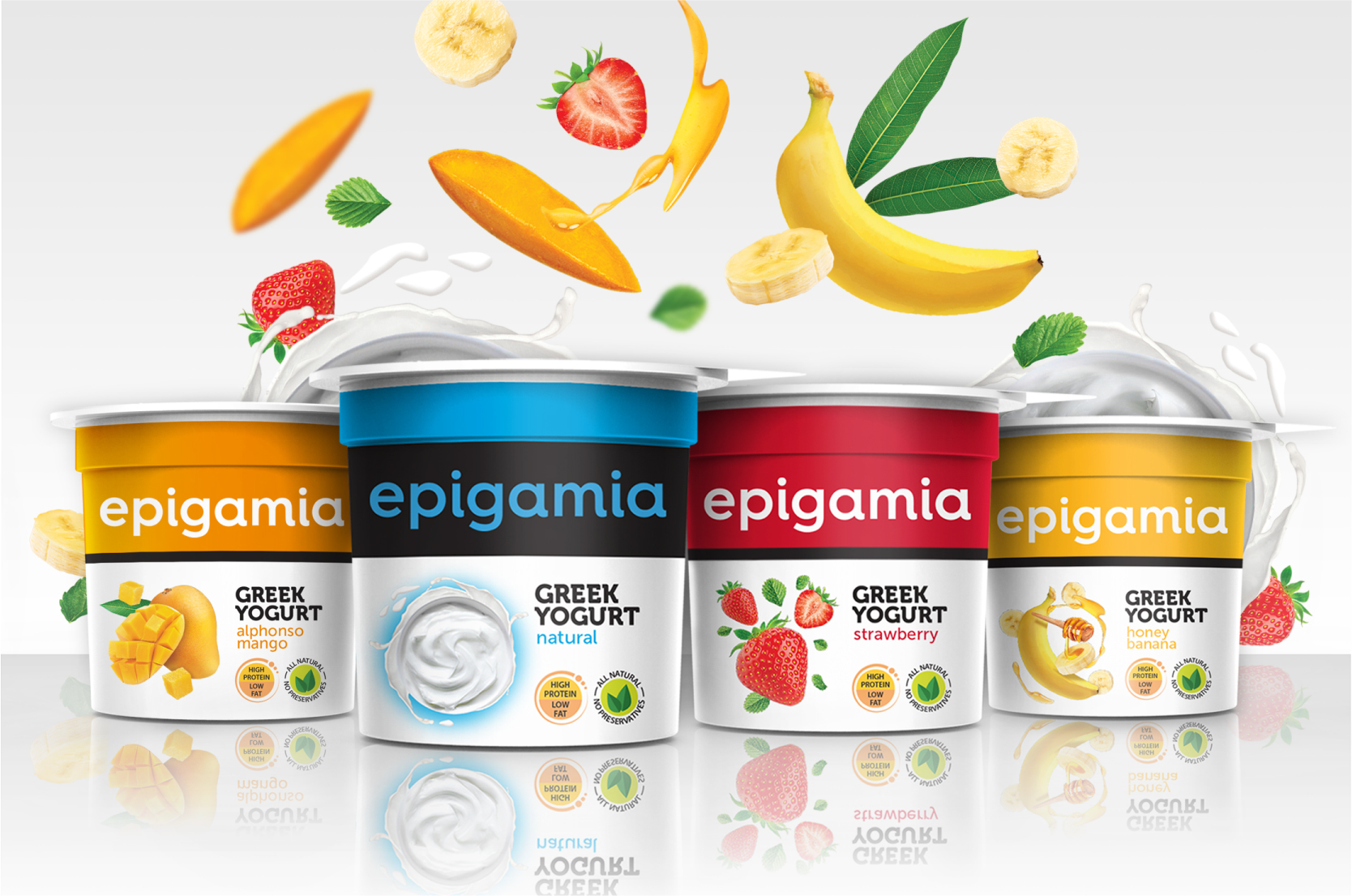 Epigamia_Packaging_Elephant Design 4.jpg