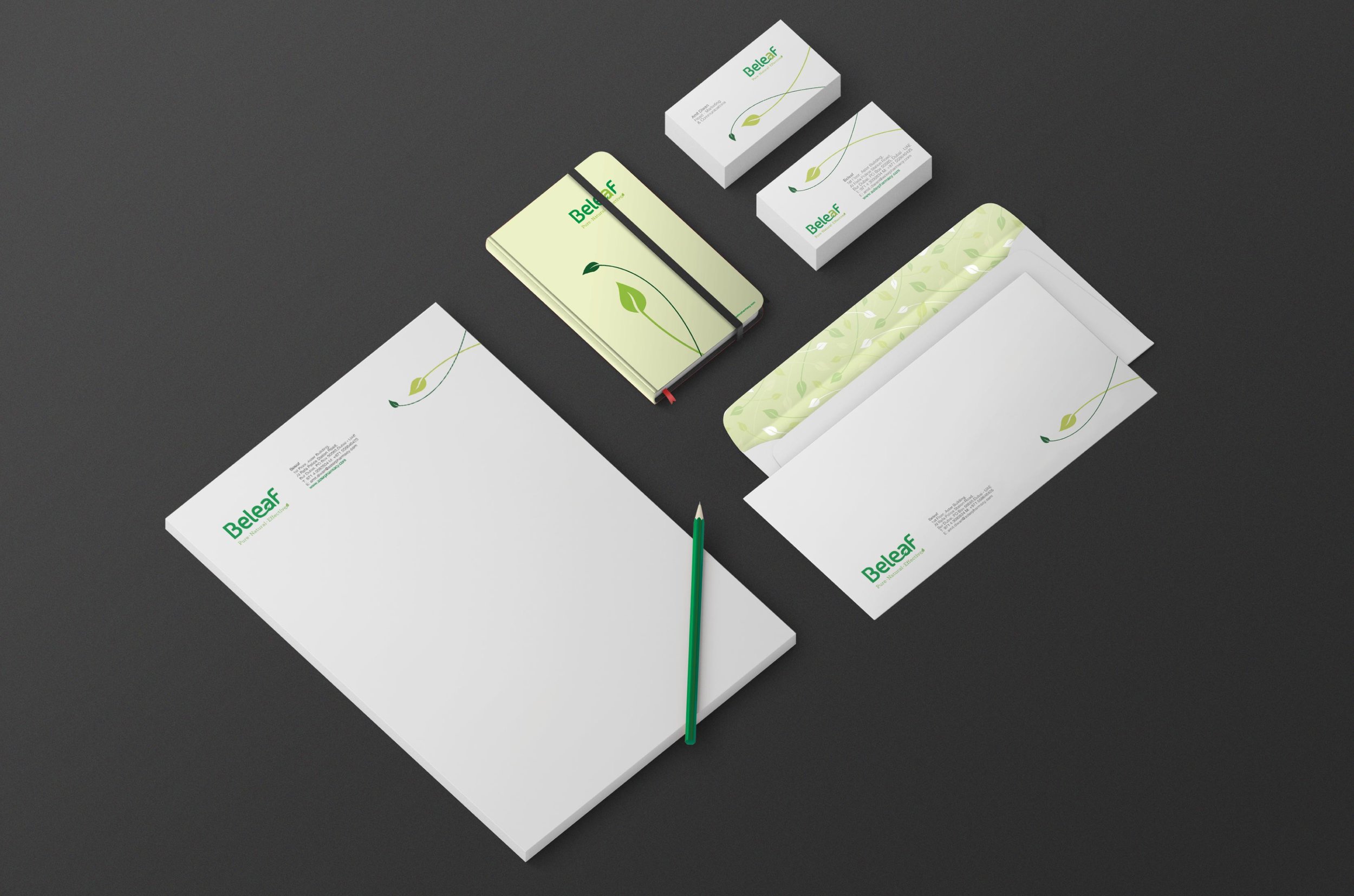 Beleaf_Branding_Elephant Design 2.jpg