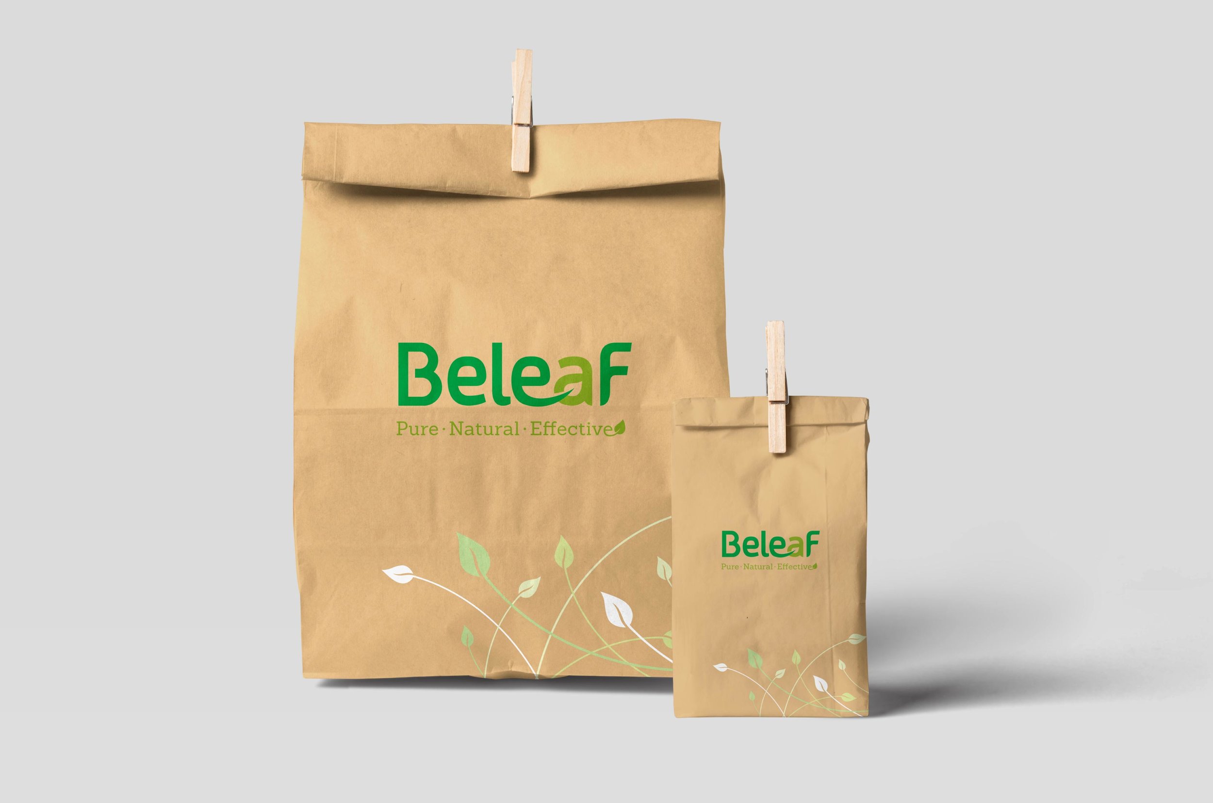 Beleaf_Branding_Elephant Design 5.jpg