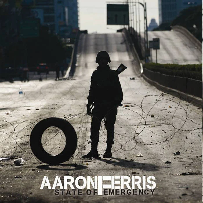 AARON F1.jpg