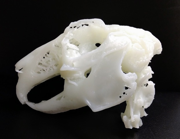 The finished 3D model