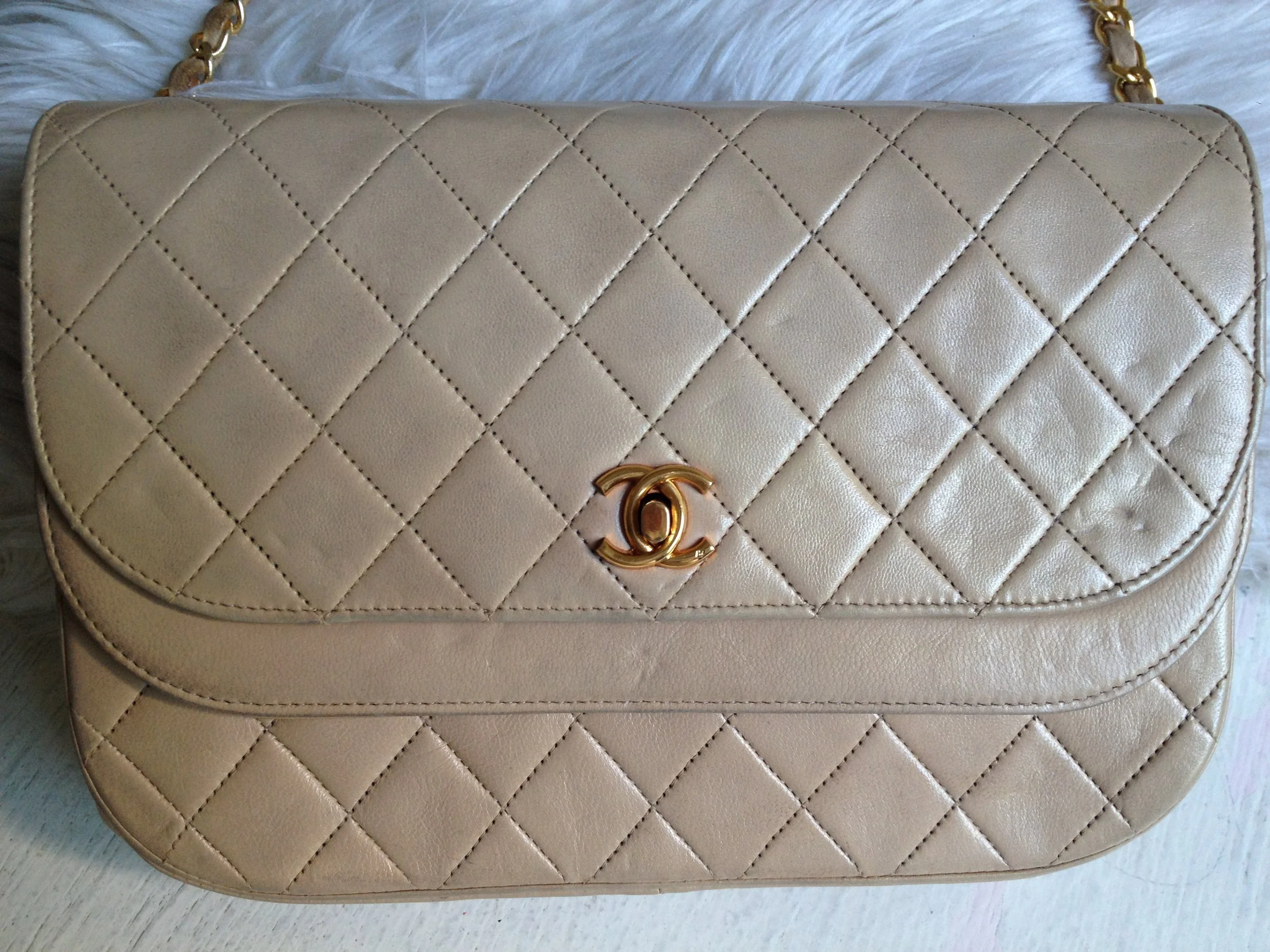 side-chanel-bag 002.jpg