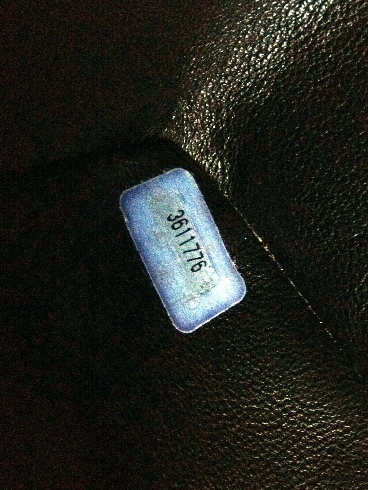12.jpg