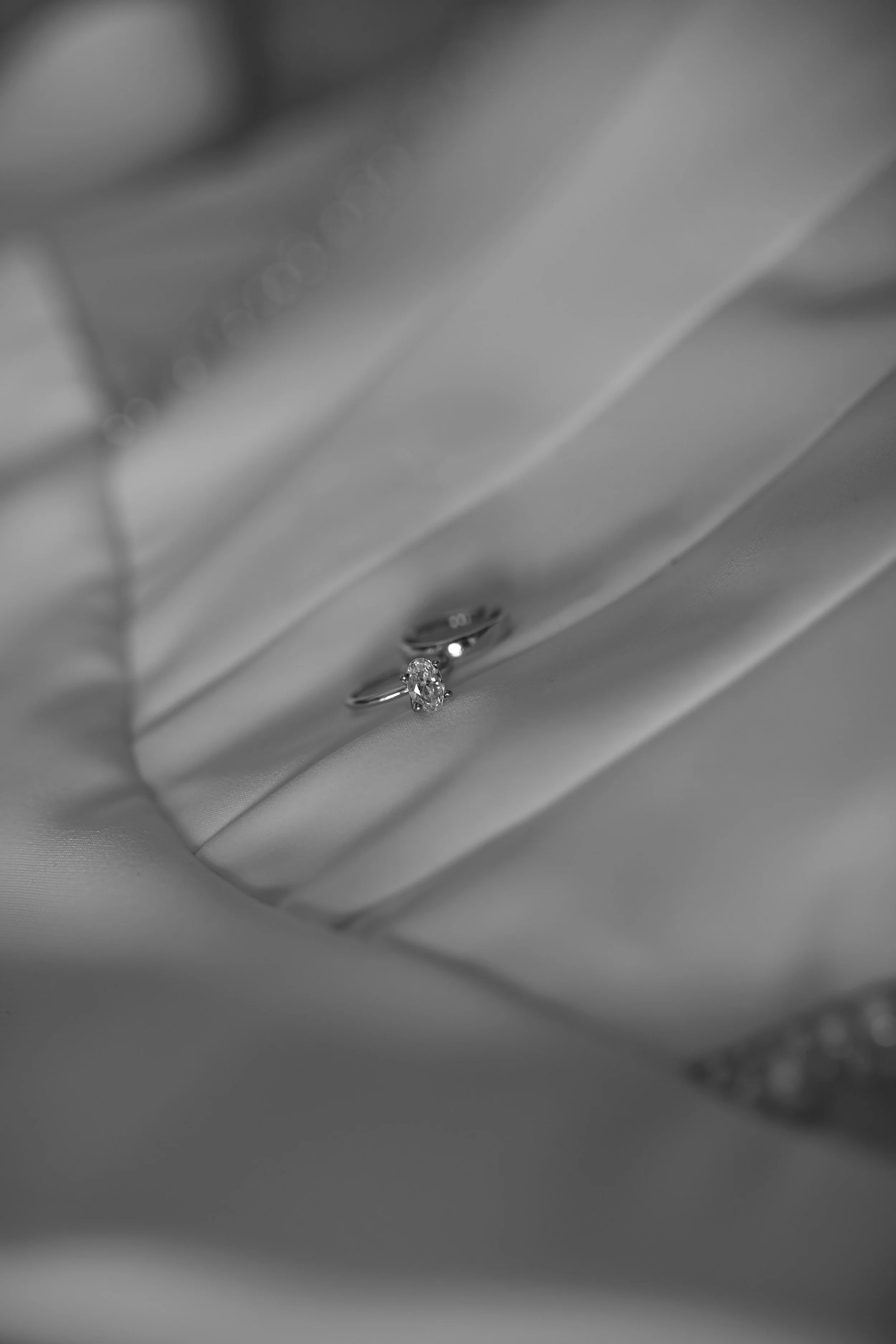 2J2A7865-2.jpg
