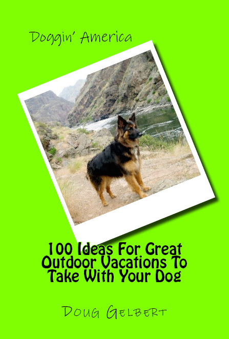 BookCoverPreview-1.do.jpeg