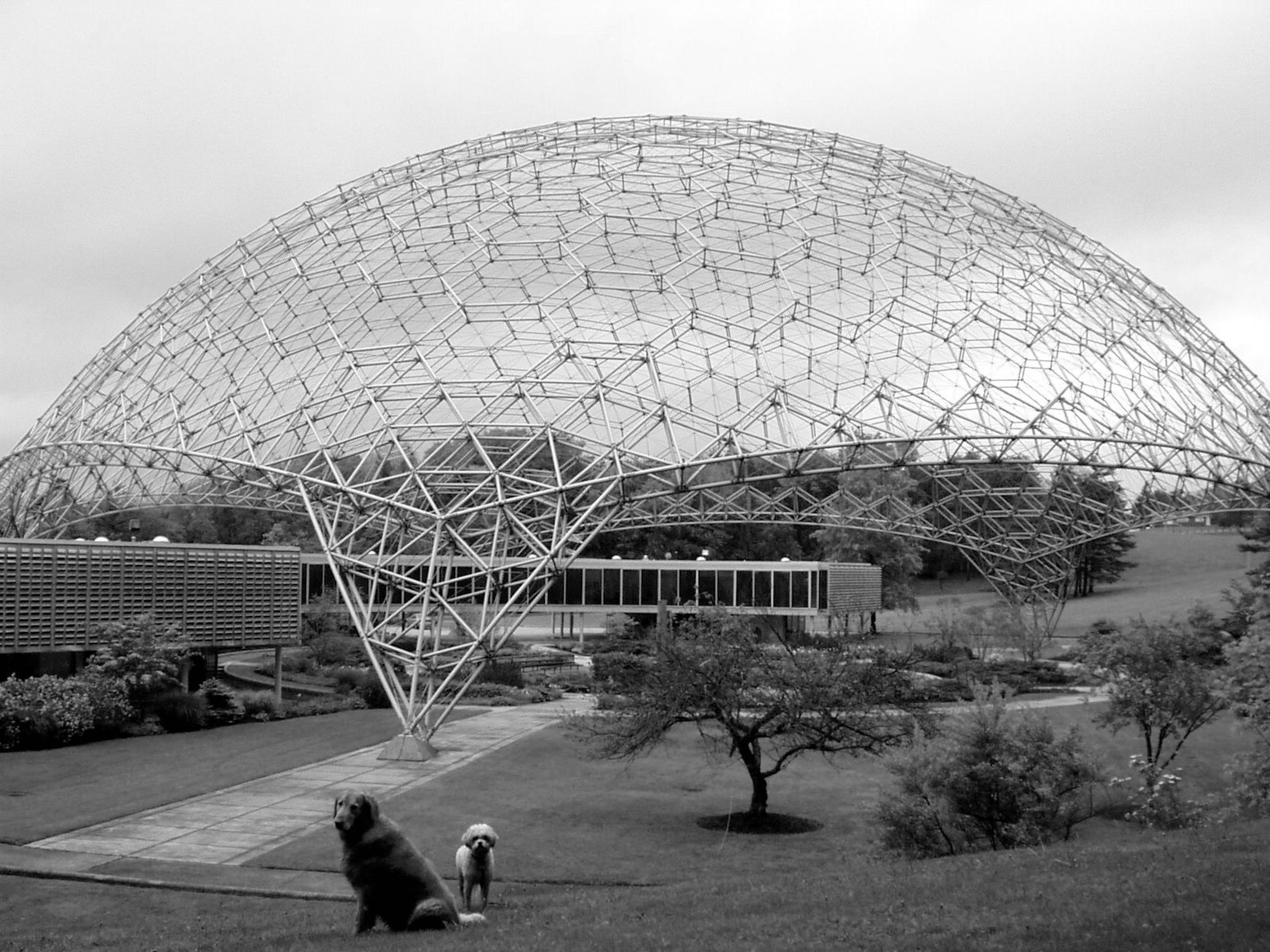 Geodesic Dome.jpg