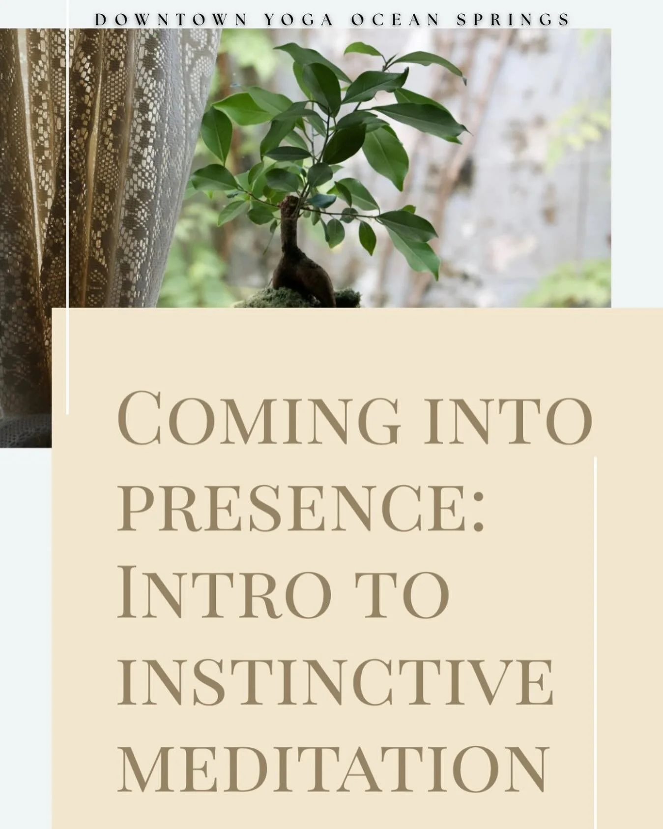 Join us for an afternoon exploring the foundational techniques of Instinctive Meditation &reg;️ Owner and lead teacher Ellen is trained in this approach and it is sure to open you to new possibilities in the realm of meditation as a way of delighting