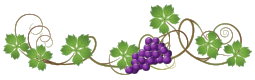 Vine_Decoration_PNG_Clipart_Picture.png