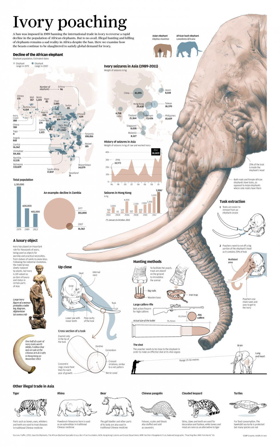 elephant-ivory-ok.png