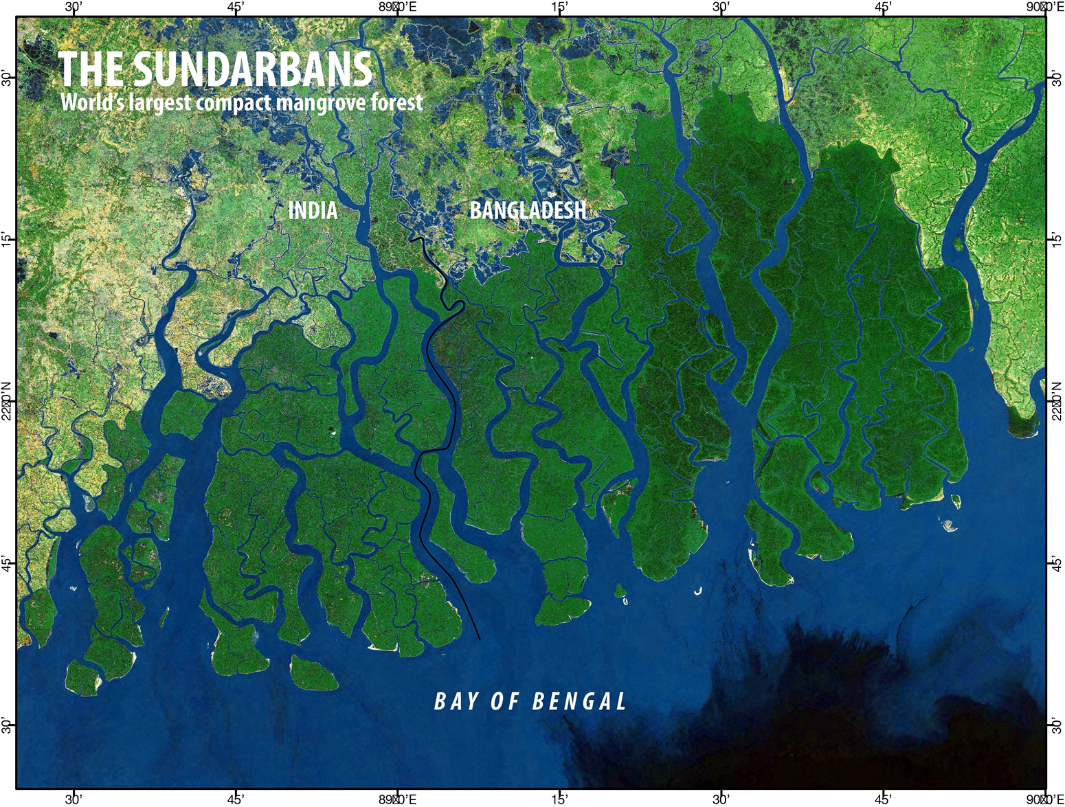 The Sundarbans - home of the man-eating Royal Bengal Tiger — Nicholas Daines