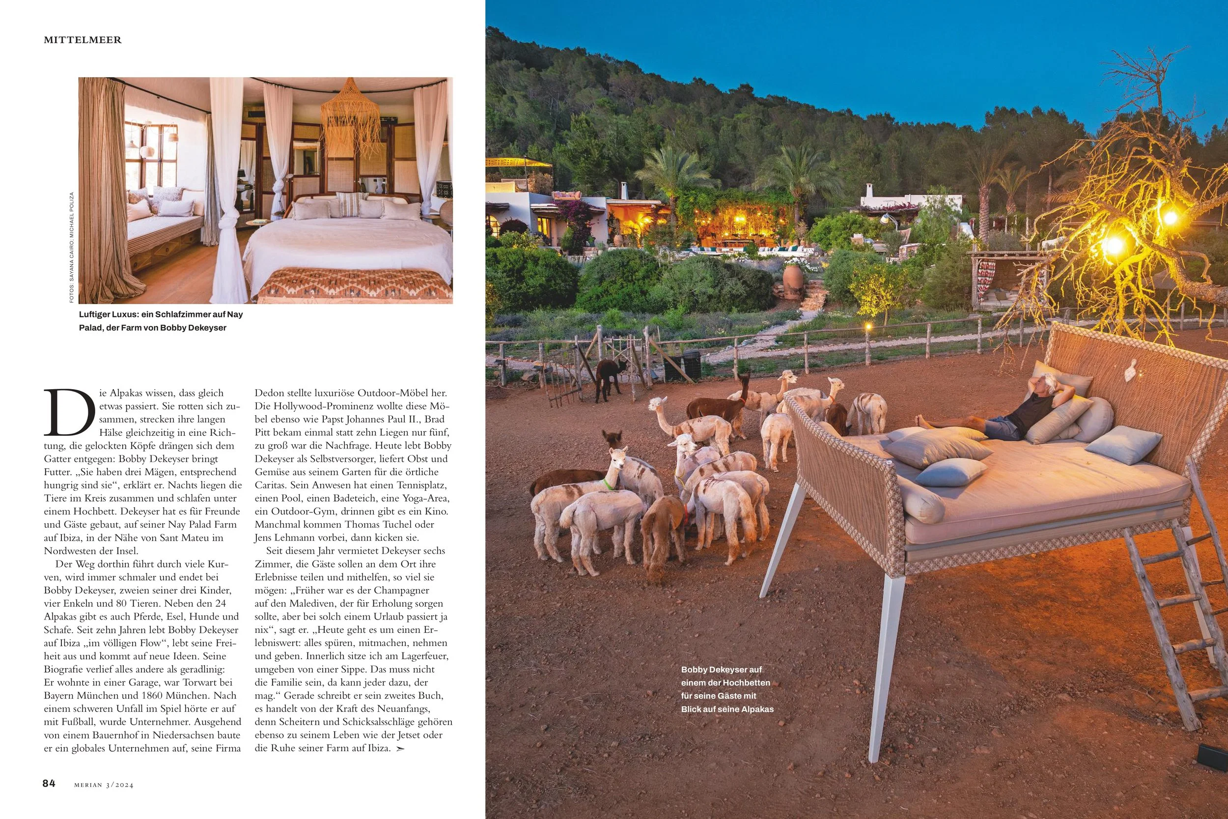 Nighttime outdoor scene with a man relaxing on a wicker lounge chair with colorful cushions, surrounded by goats, in a yard with trees and illuminated buildings in the background.