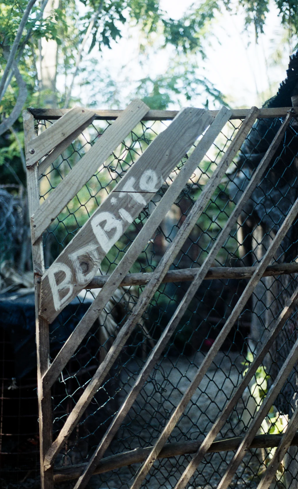 untitled shoot-003-2.jpg