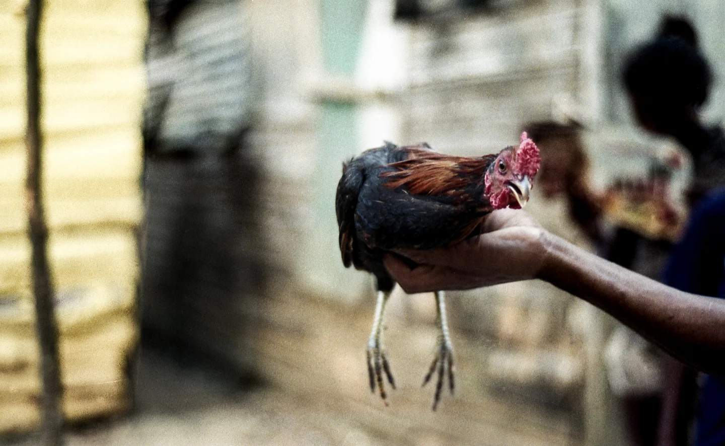 untitled shoot-026-Edit-2.jpg