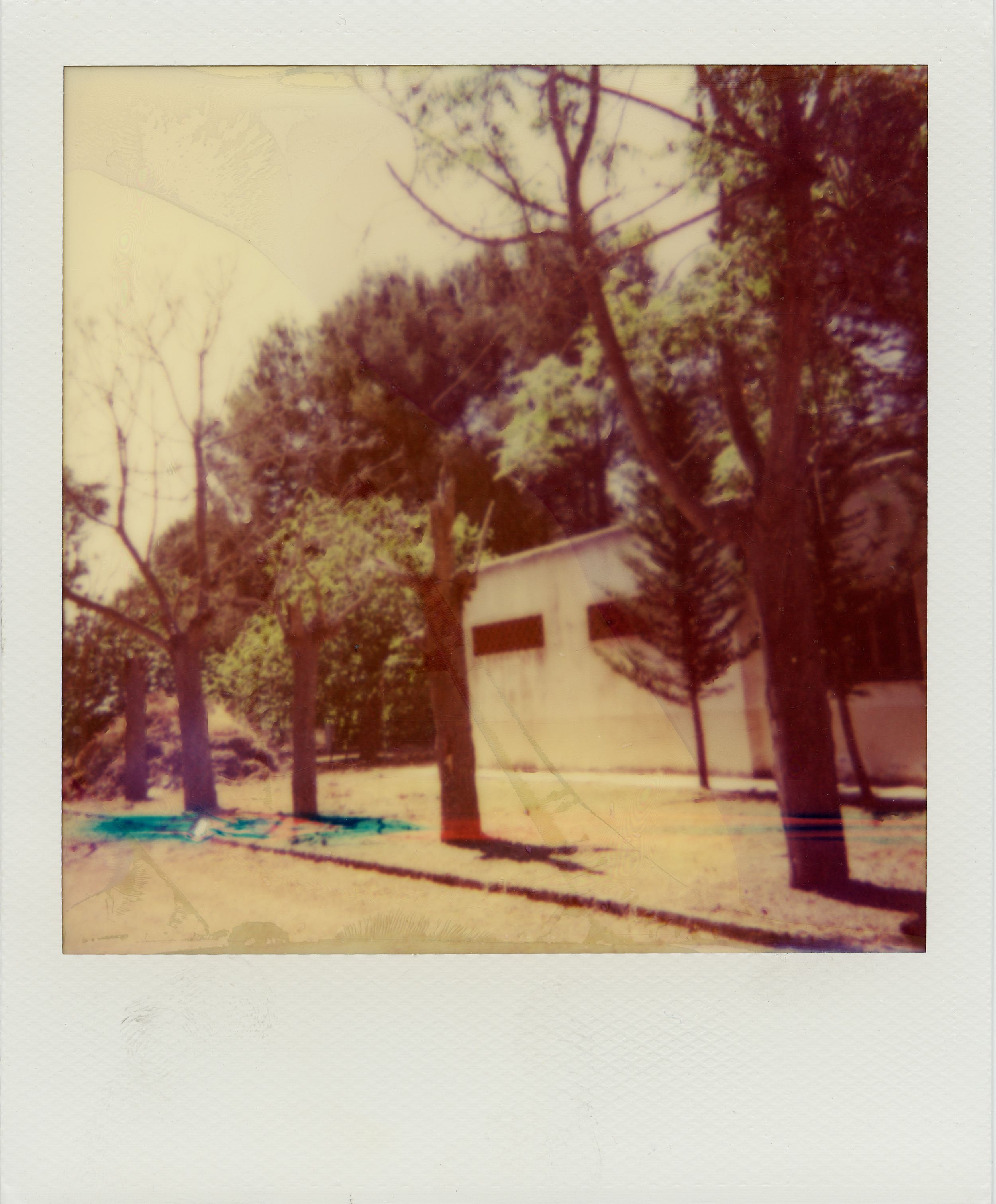 Polaroids-90.jpg