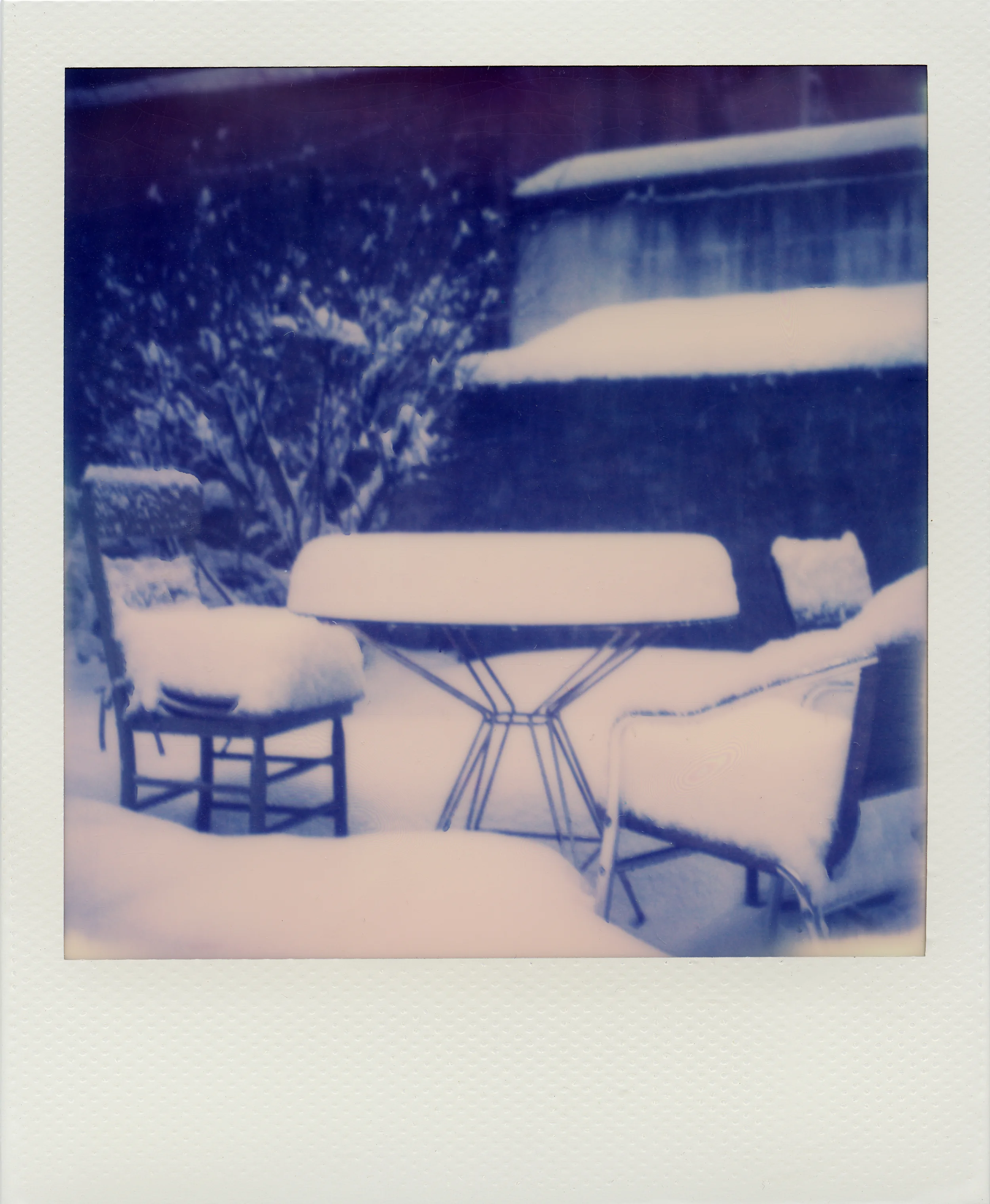 Polaroids-74.jpg