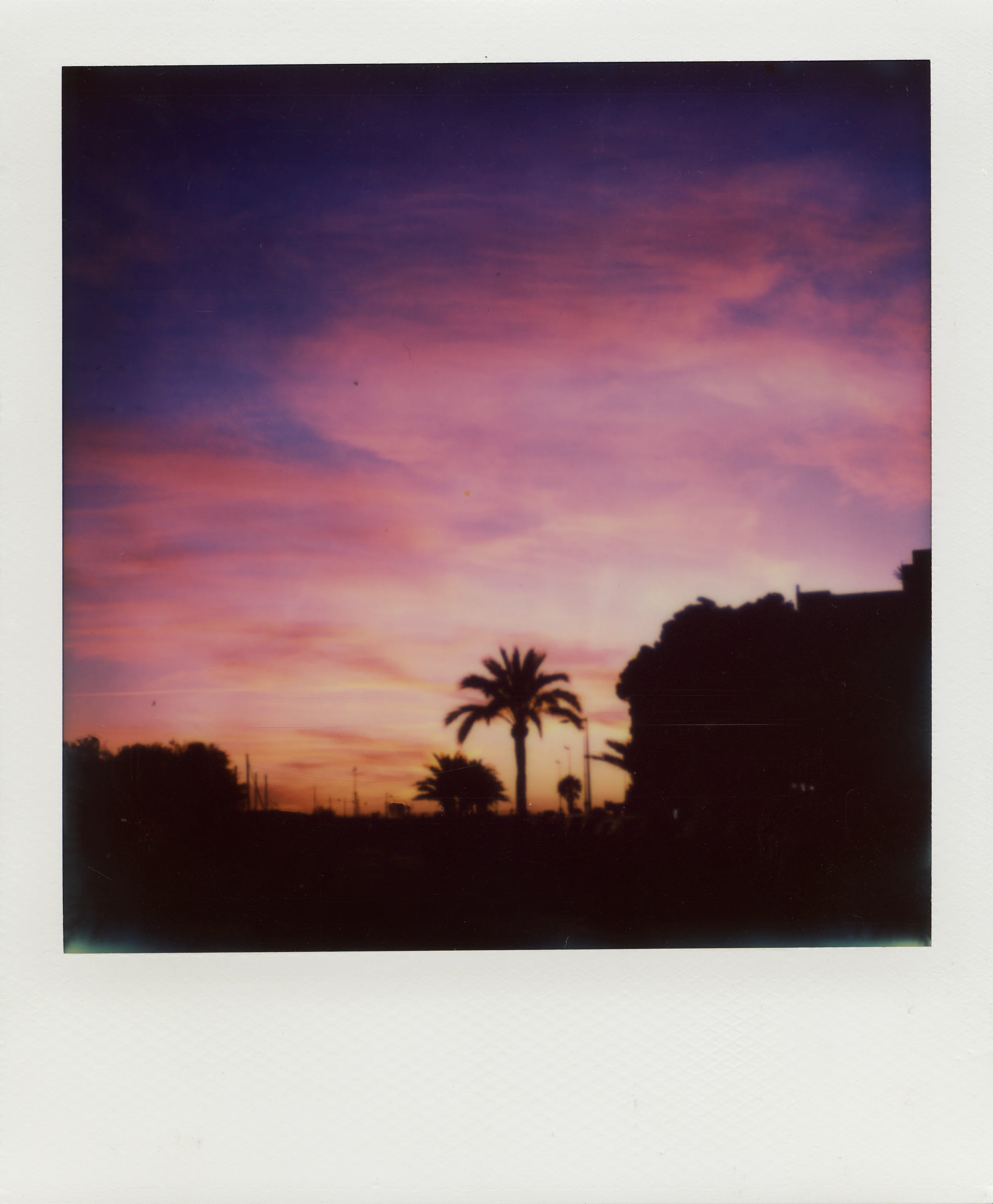 Polaroids-7.jpg