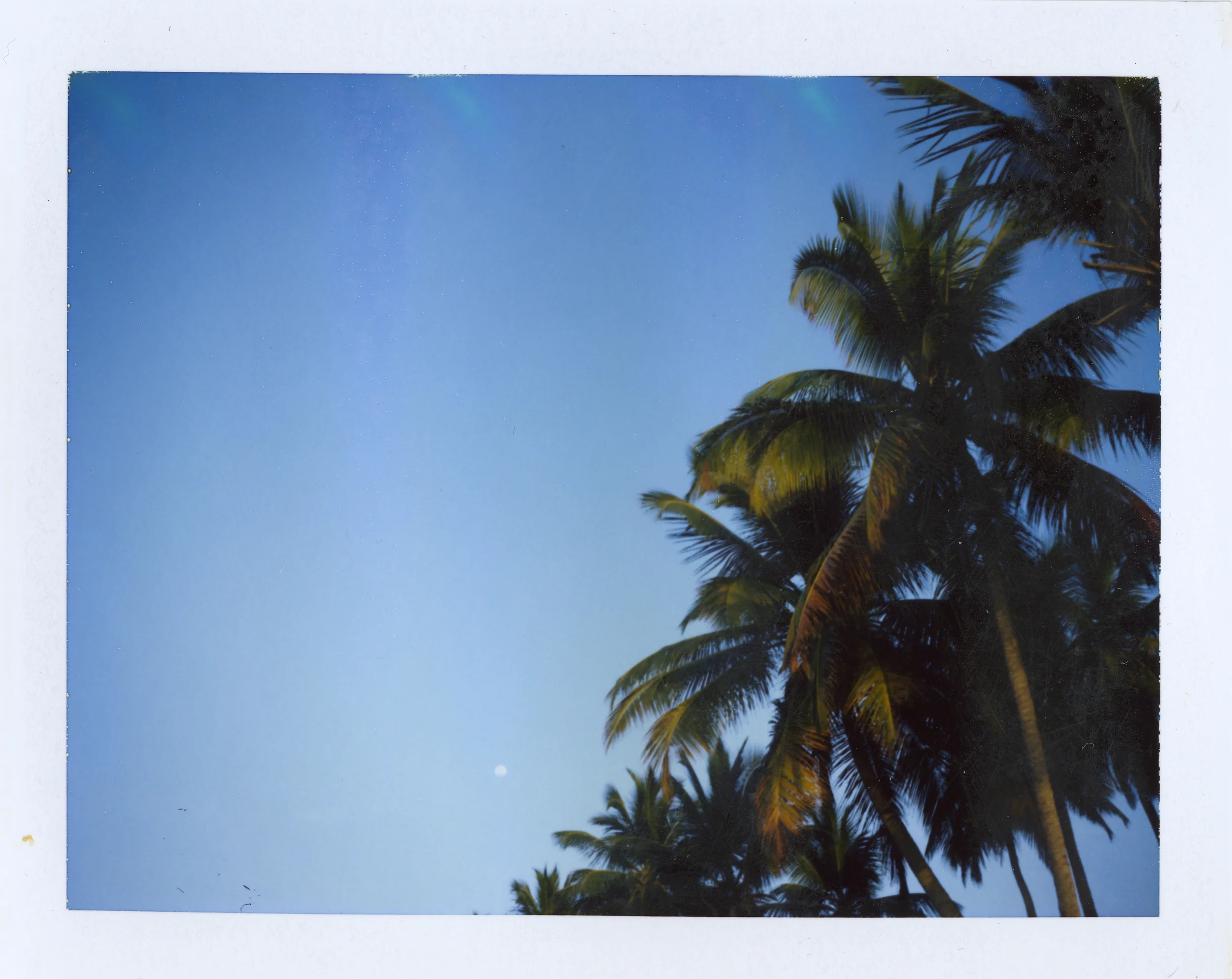 Polaroids-34.jpg