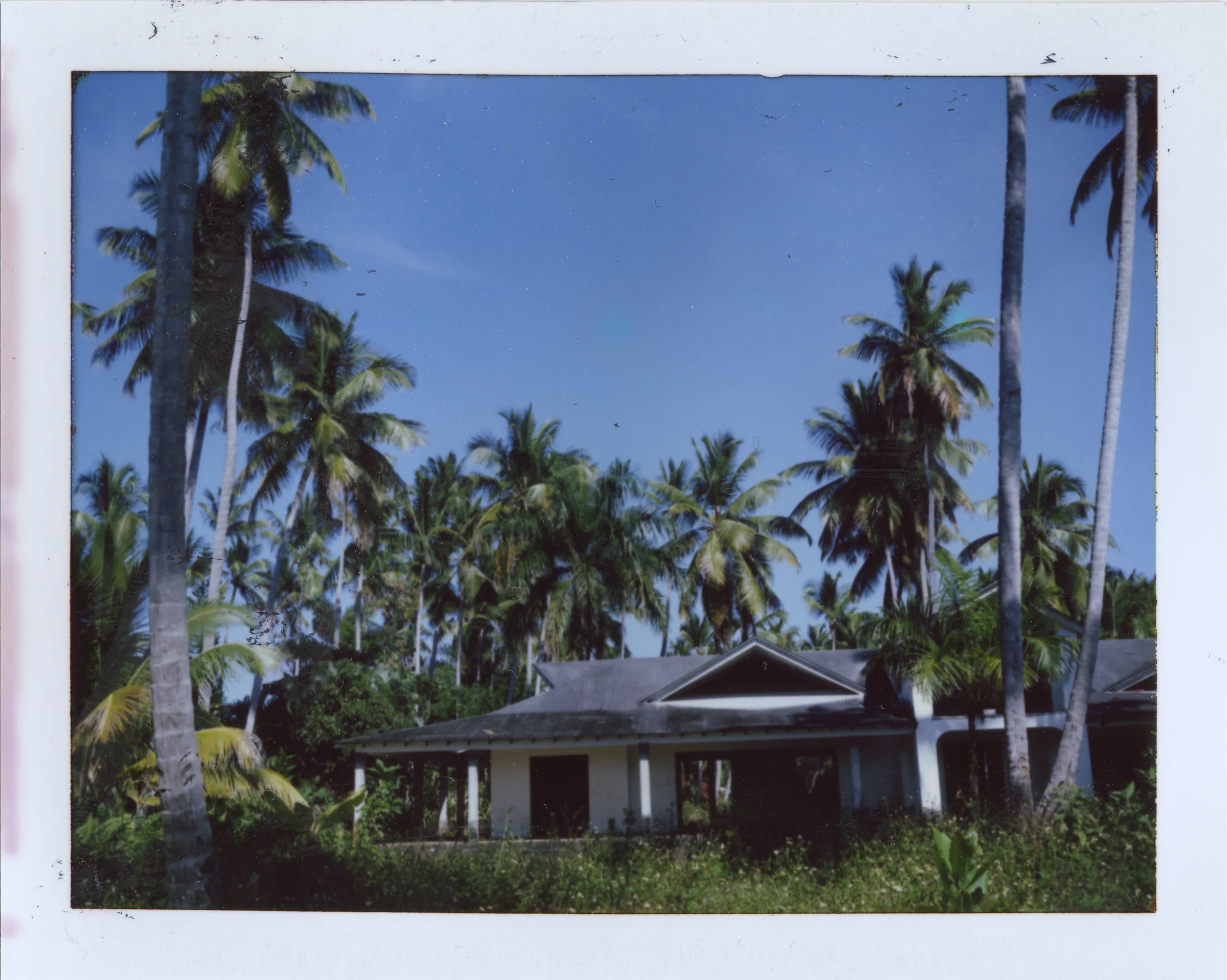 Polaroids-37.jpg