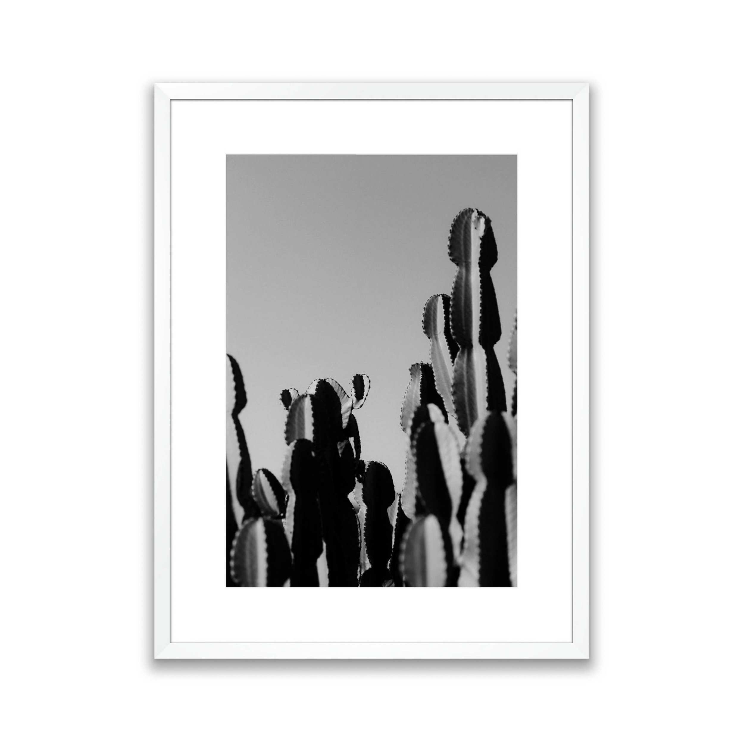 Ibiza Prints