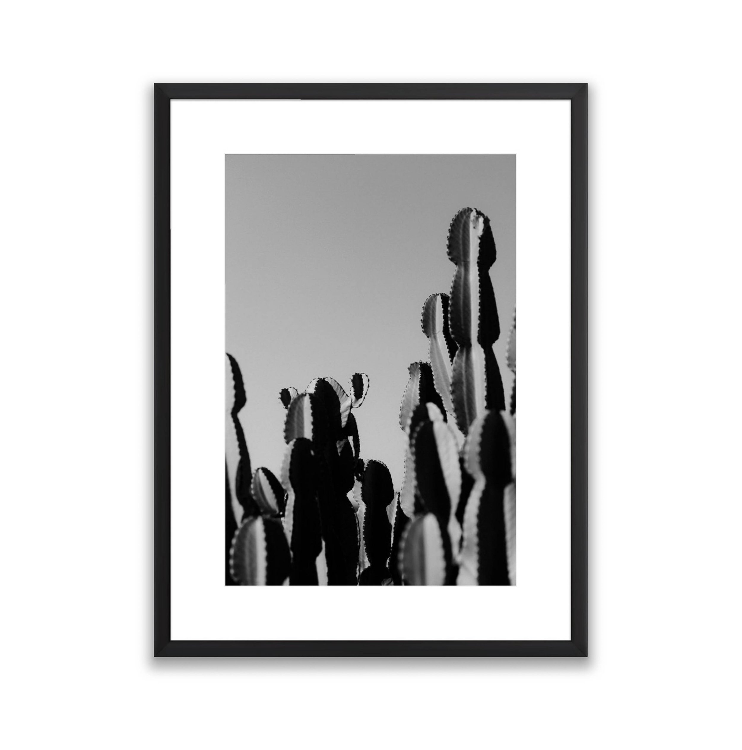 Ibiza Prints