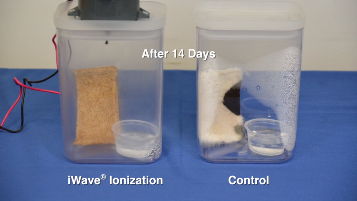 iWave Air Purifiers — Whitcher Plumbing & Heating