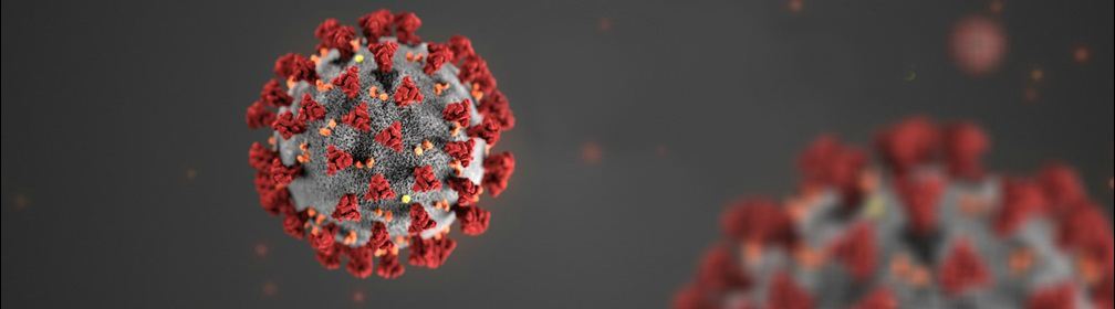 Corona virus 2.png