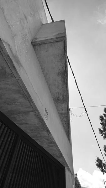P1030340.jpg