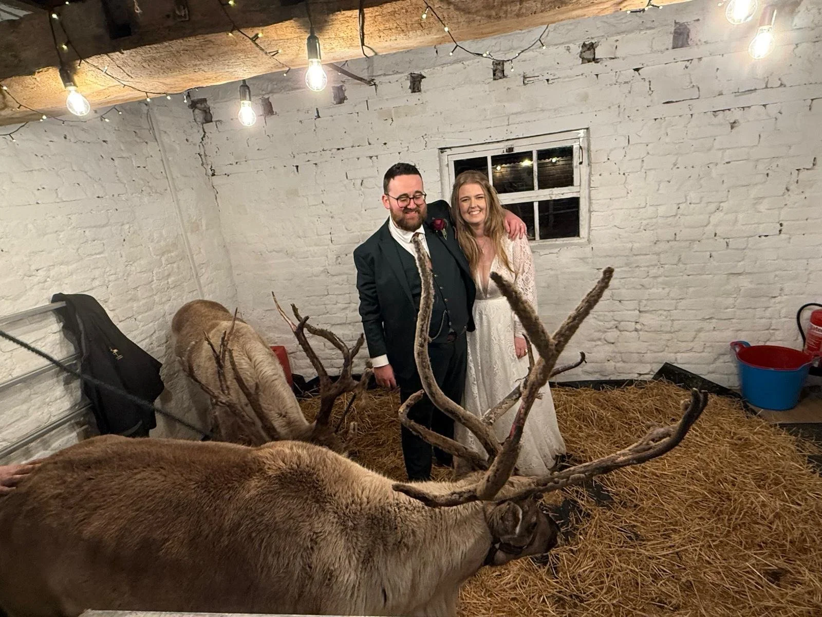 The reindeer join in the celebrations at Cliona &amp; Nathan’s Magical Winter Wedding at Stanford Farm