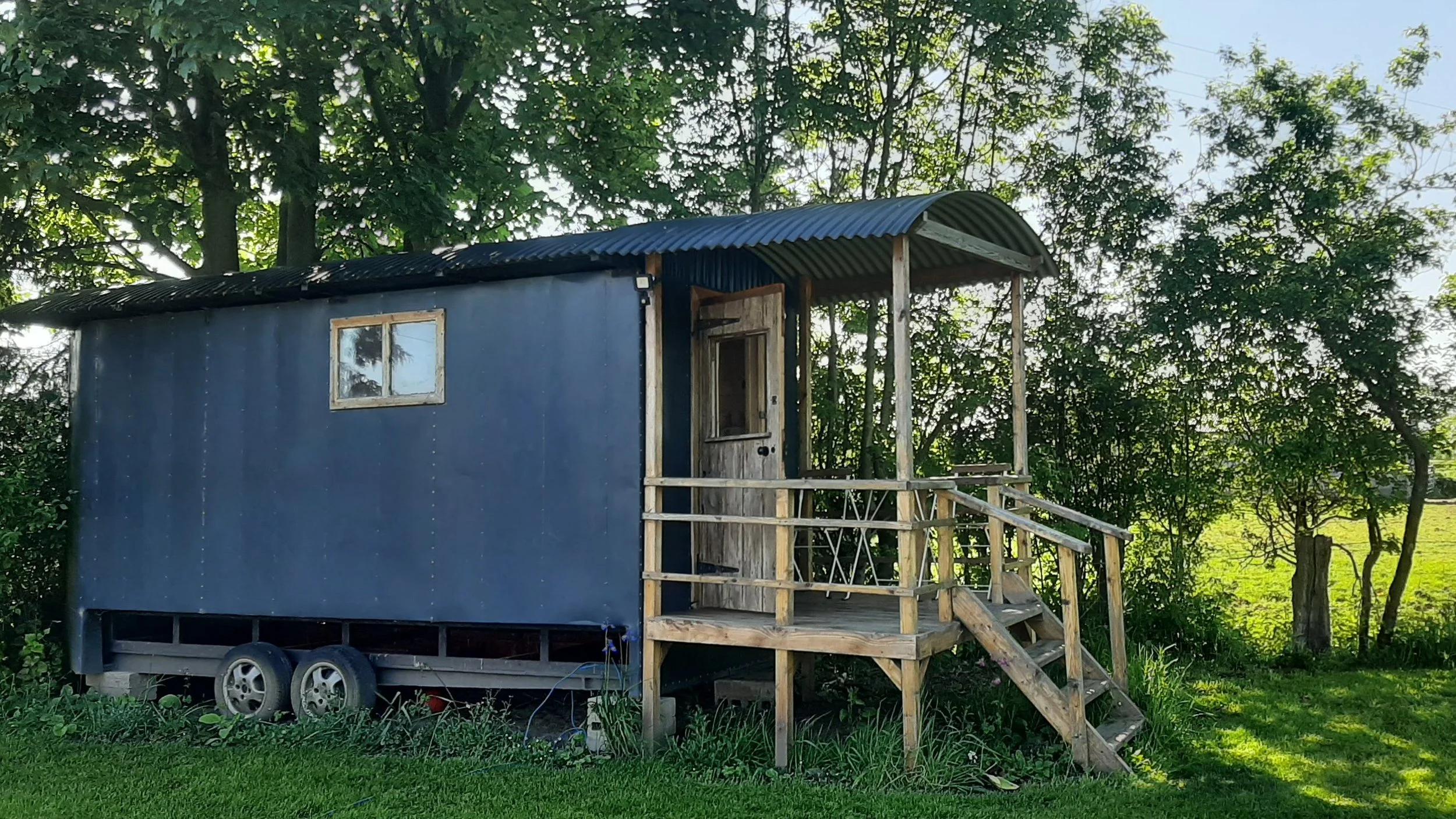 20240519_100742 cropped-1.jpg