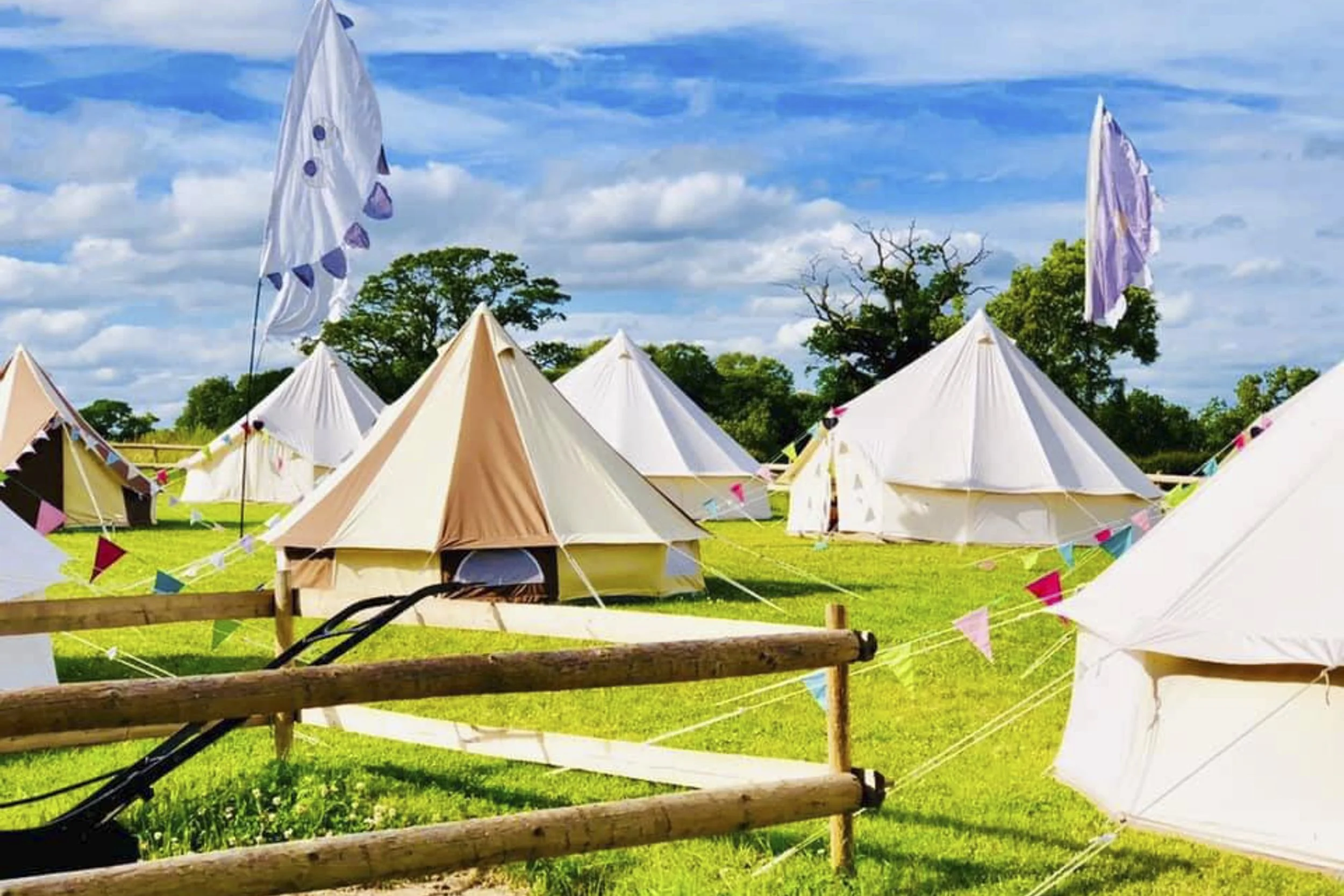 57009143_2615795348449361_1191022421482668032_n cropped.jpg