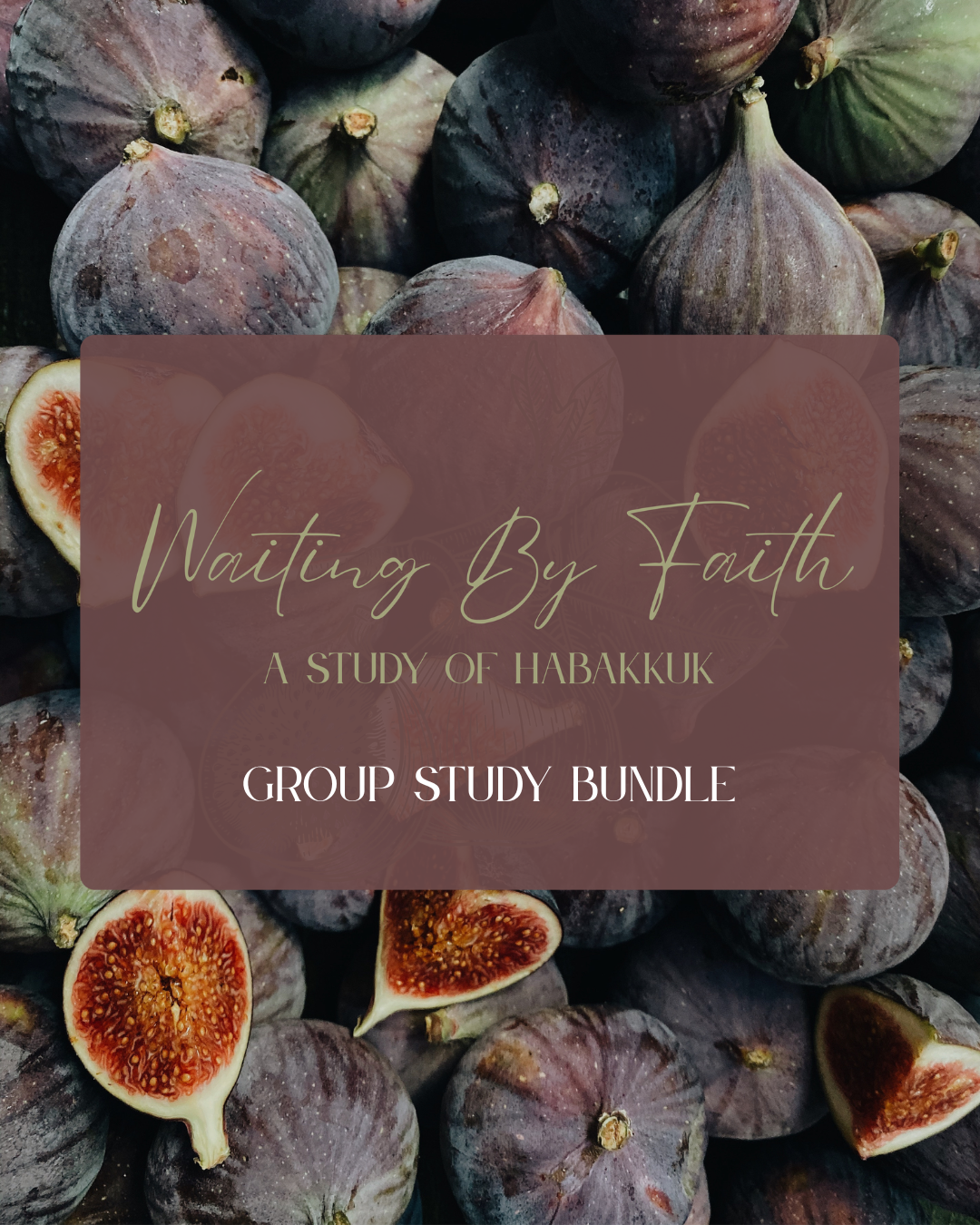 Summer Study 2026 Habakkuk IG posts.png