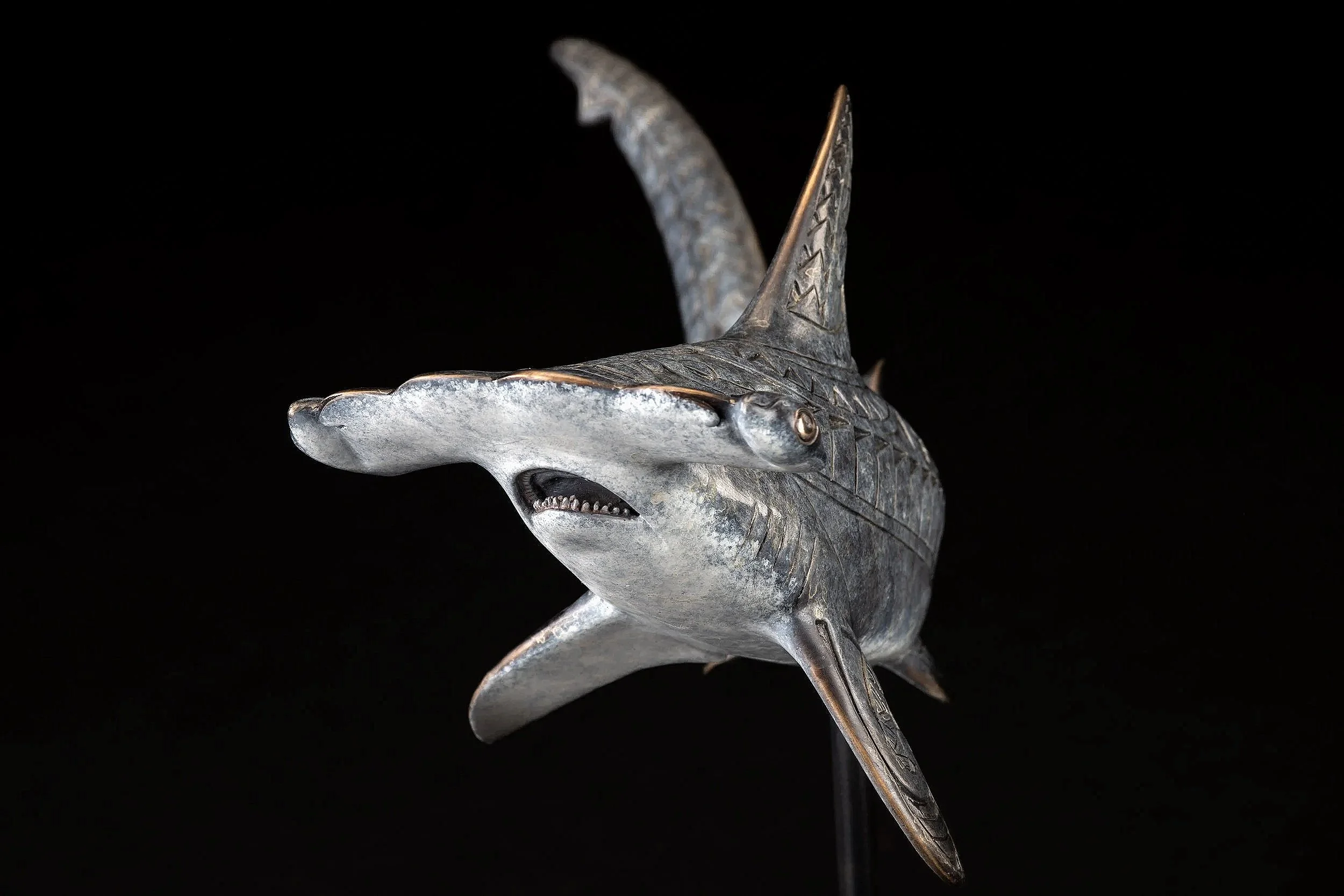 BrozeSculpture-AndreaEverhart-Hammerhead.4.jpg