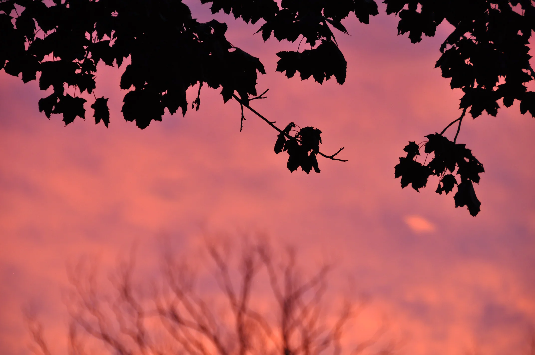 DSC_0034.JPG