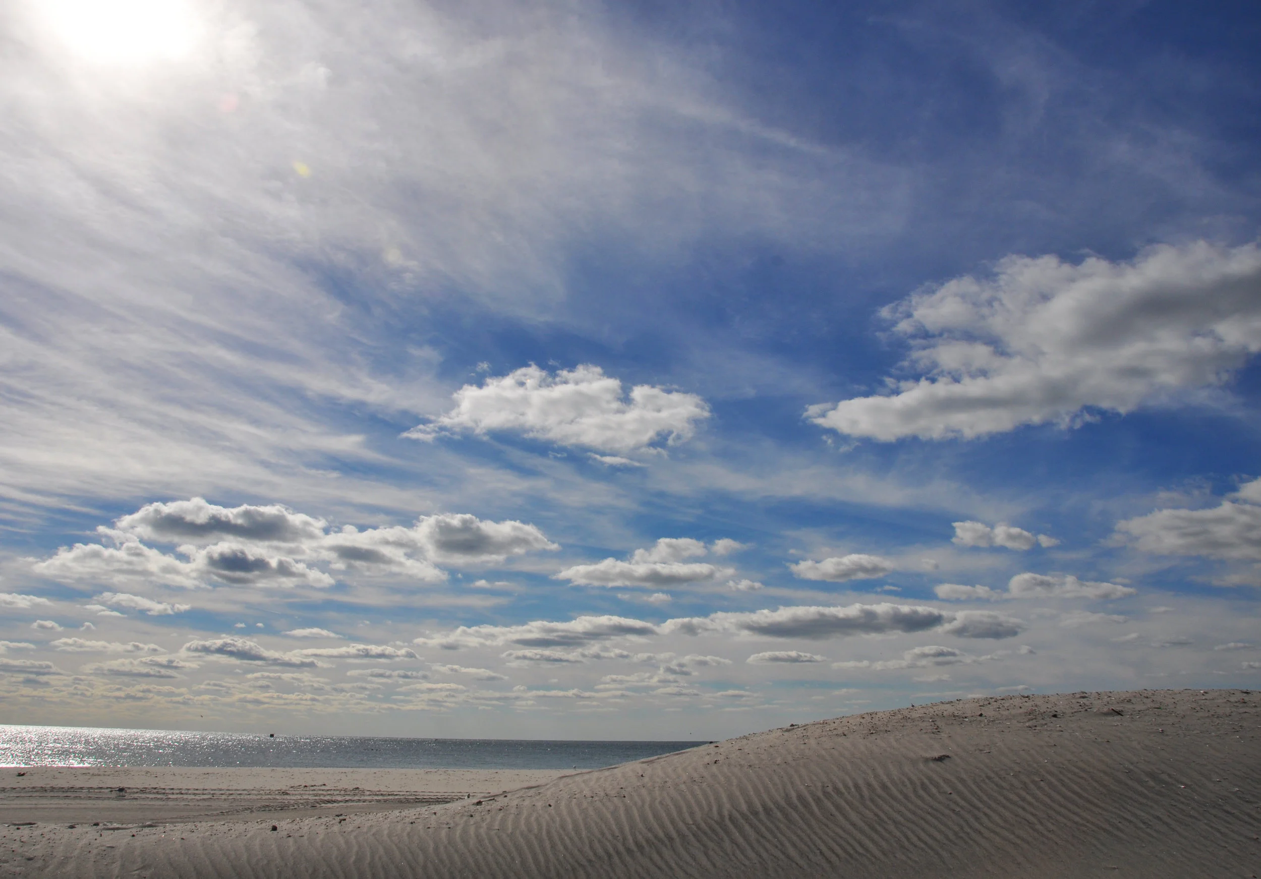 DSC_0305.JPG