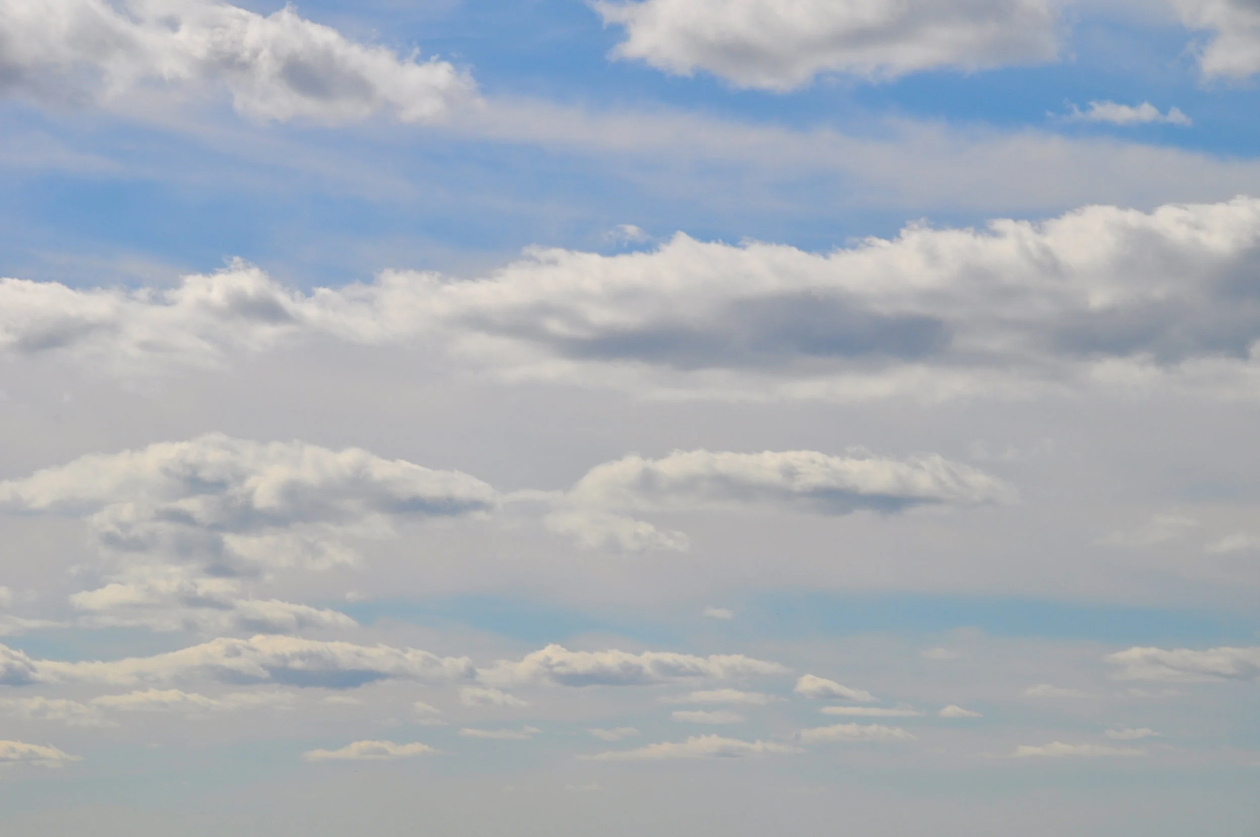 DSC_0328.JPG