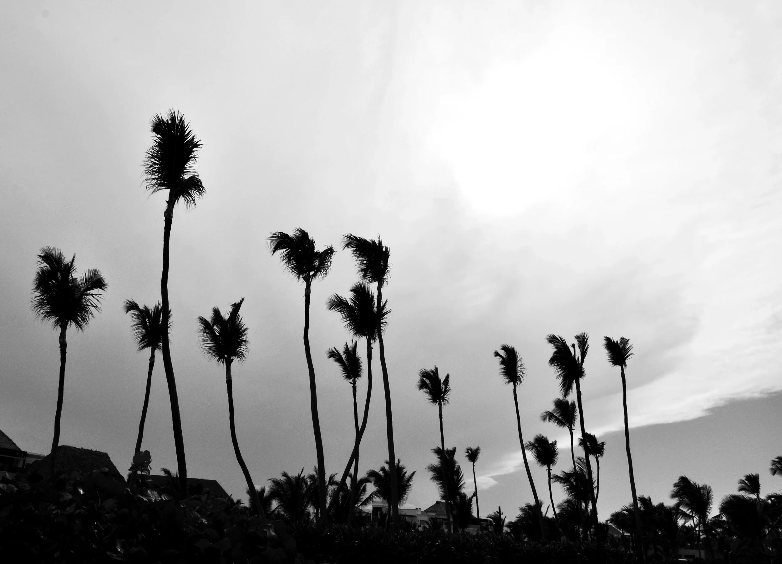 DSC_0534.JPG