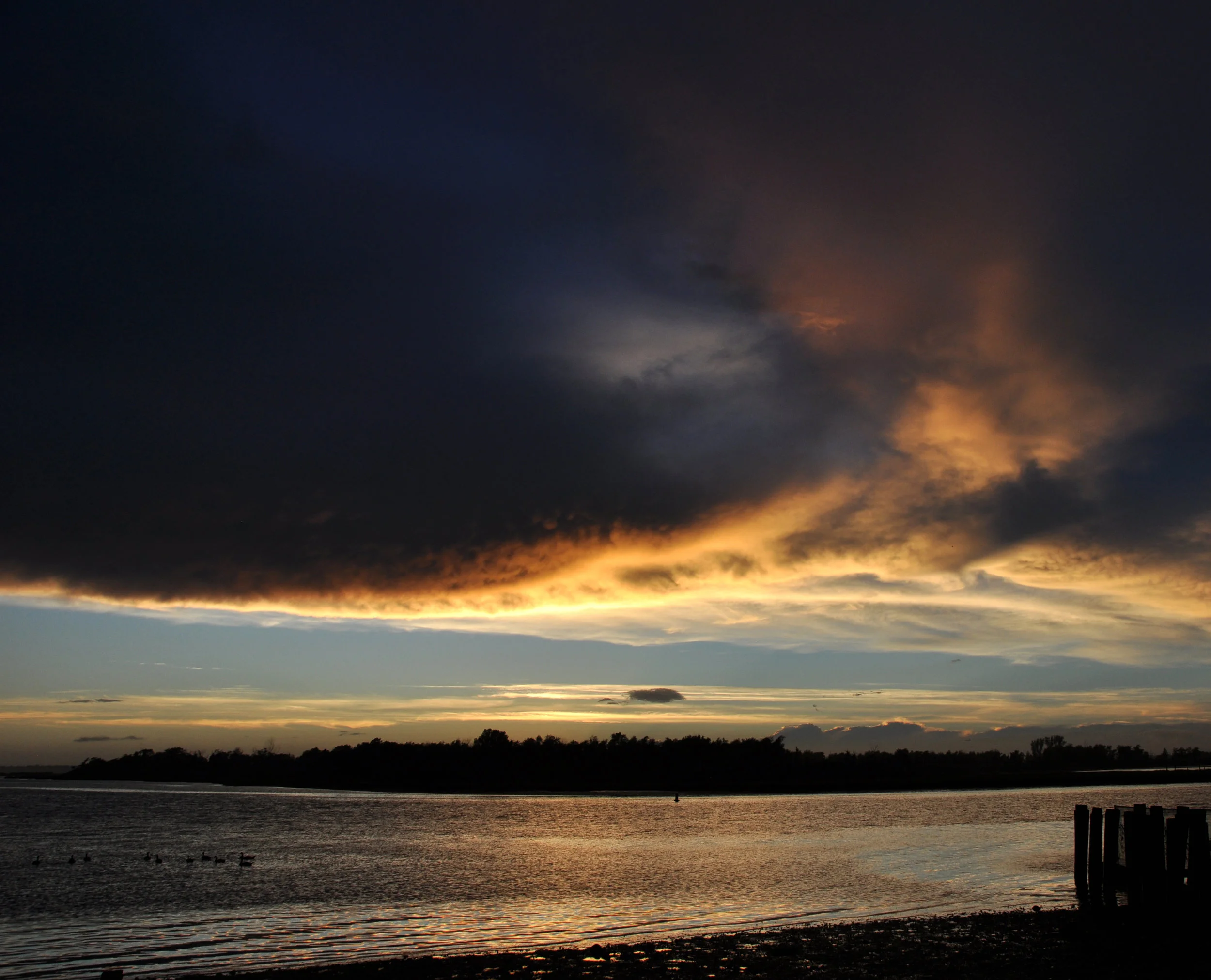 DSC_0201.JPG