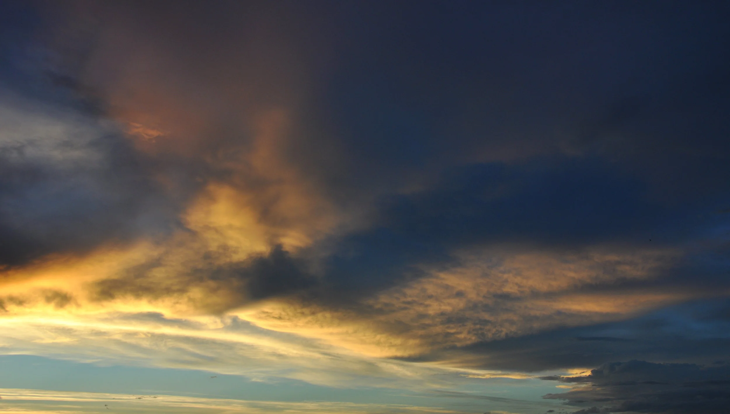 DSC_0202.JPG