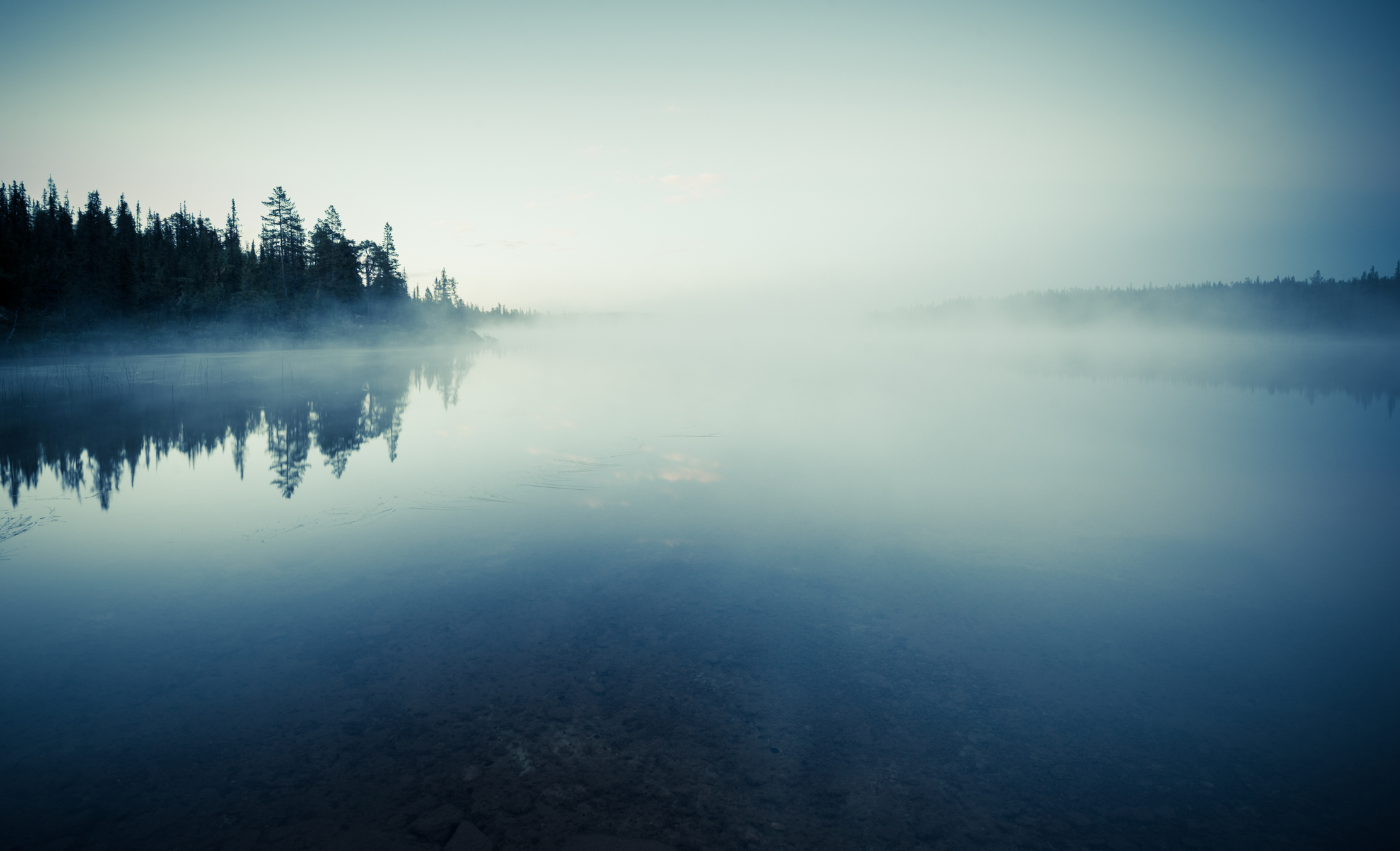 Photo by Yarygin/iStock / Getty Images