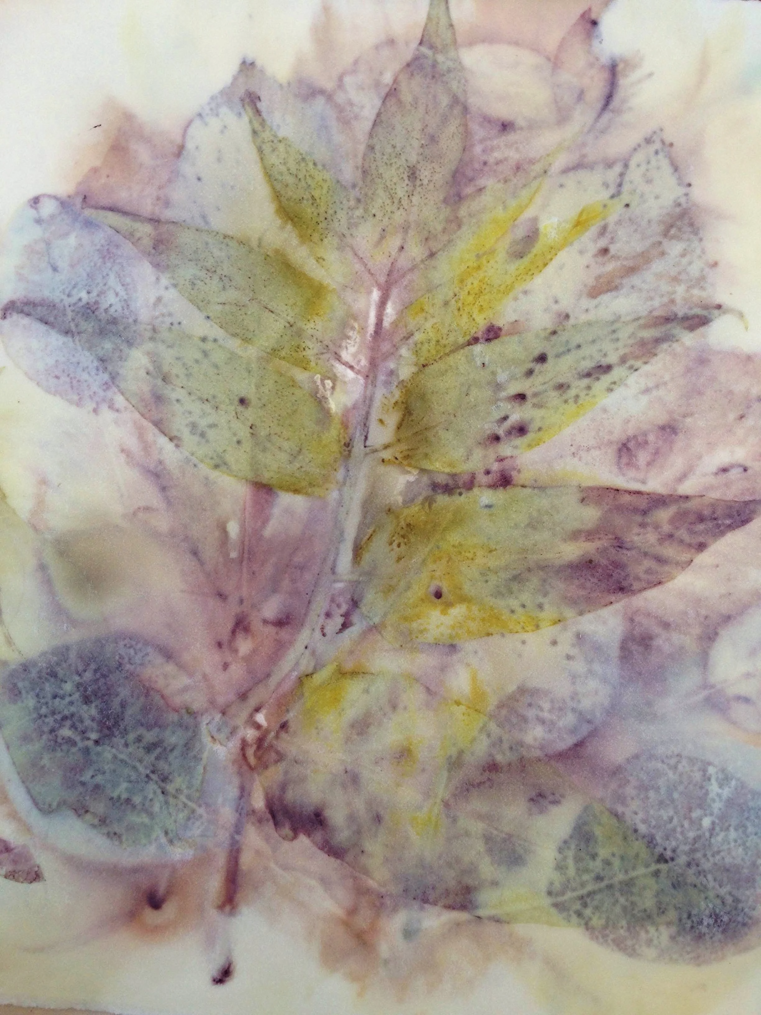 Leaves printed on paper.
