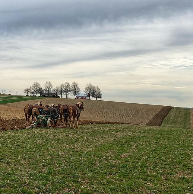 #hike #lititz #amishfarm