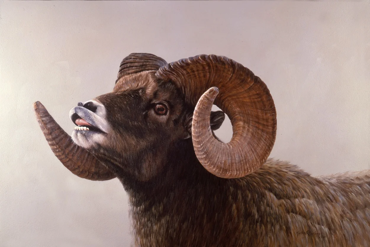 "Time Of The Rut"