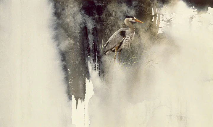 •Great Blue Heron10%22- 72.jpg