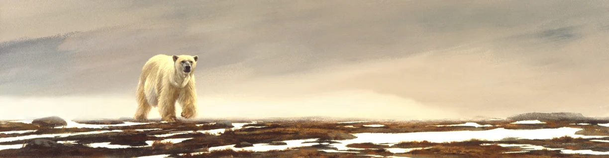 The Long Journey4.5x17-72.jpg