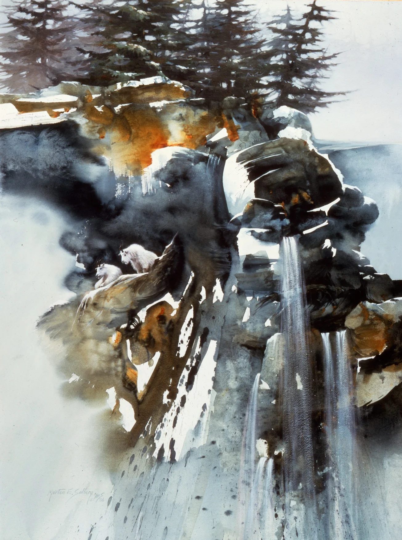 "Mountain Vista"
