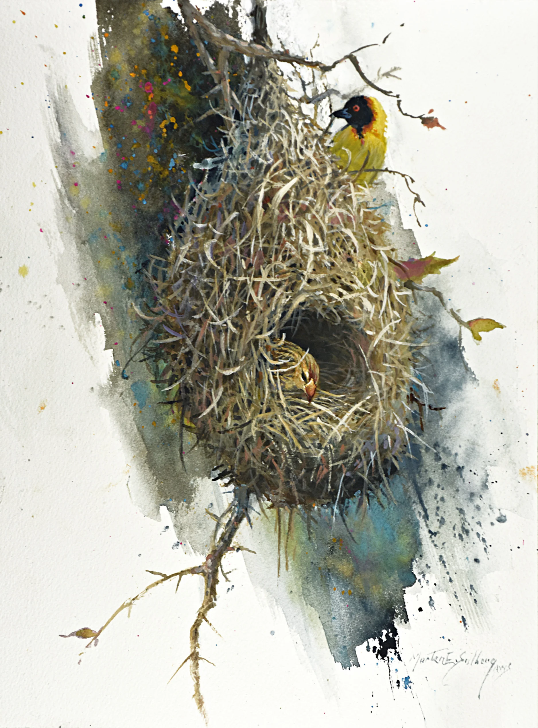 "Weaver Bird Nest"