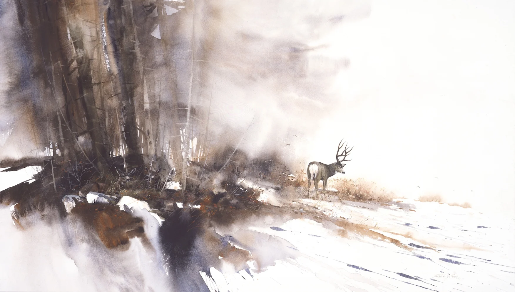 "Afternoon Shadows"